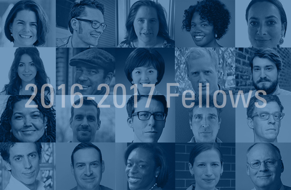 2016-2017 Fellows