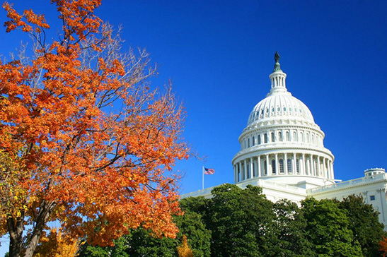 Fellows travel to D.C.